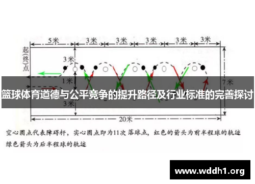 篮球体育道德与公平竞争的提升路径及行业标准的完善探讨