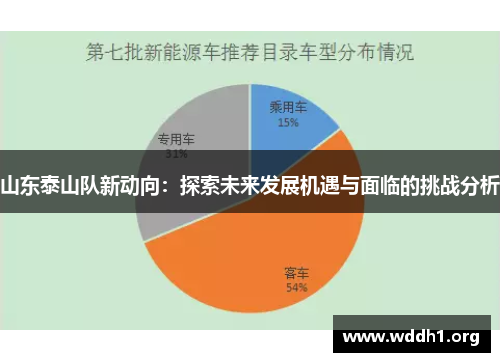 山东泰山队新动向：探索未来发展机遇与面临的挑战分析