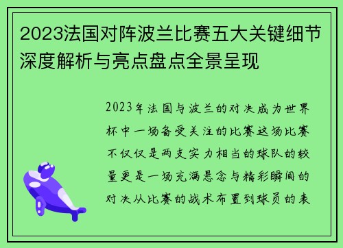 2023法国对阵波兰比赛五大关键细节深度解析与亮点盘点全景呈现