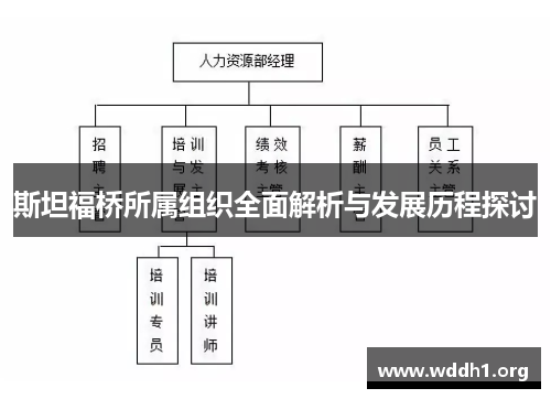 斯坦福桥所属组织全面解析与发展历程探讨