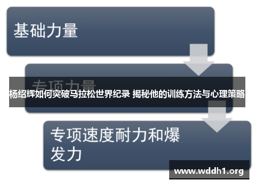 杨绍辉如何突破马拉松世界纪录 揭秘他的训练方法与心理策略